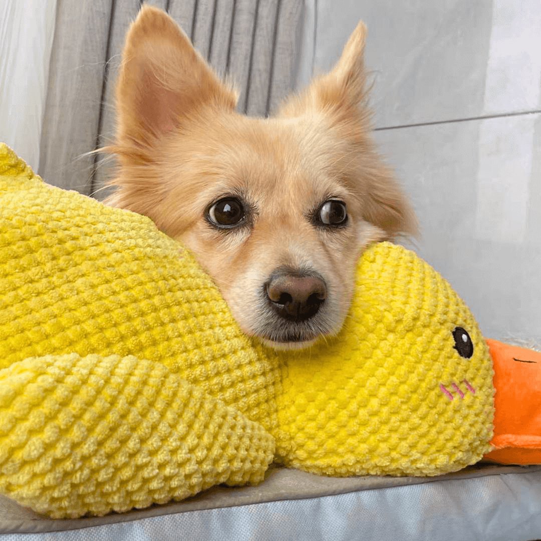 Calming Duck Toy – For Comfort and Chewing Fun