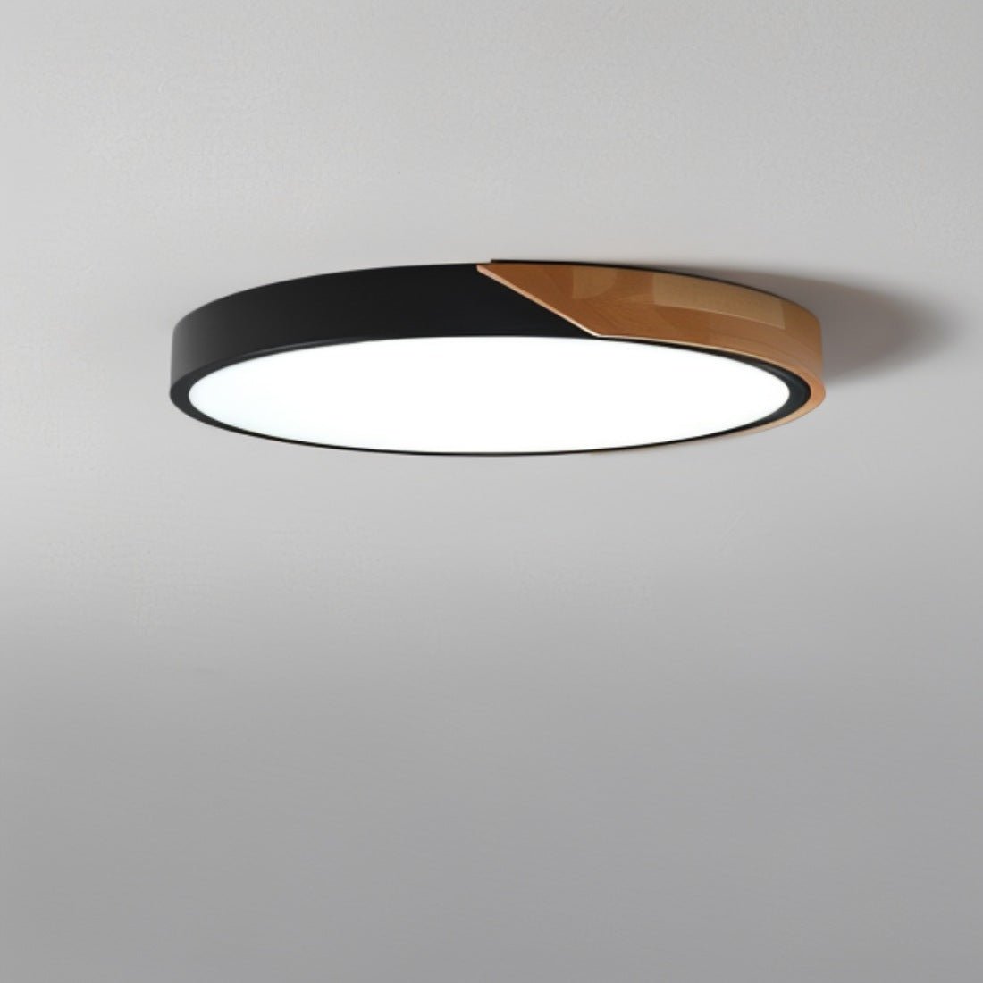 Modern LED Ceiling Lamp - Minimalistic Lighting for Your Interior