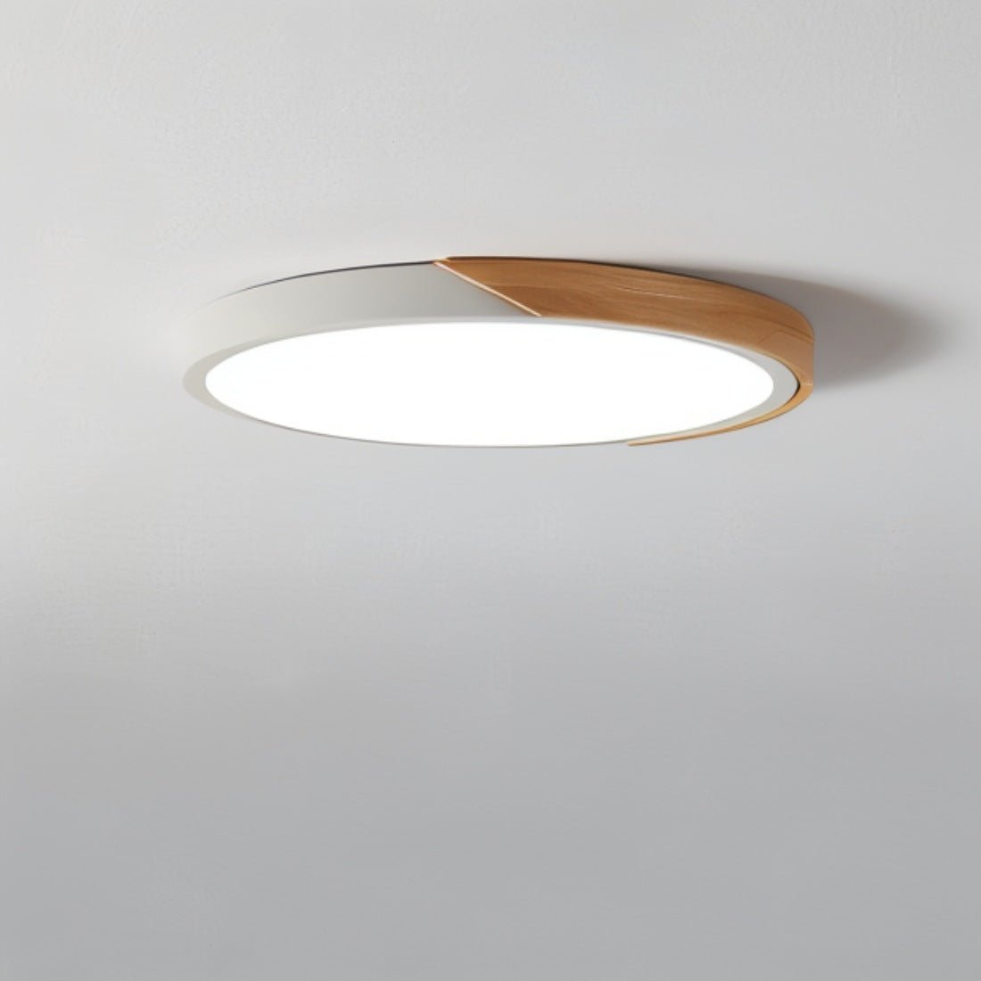 Modern LED Ceiling Lamp - Minimalistic Lighting for Your Interior