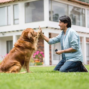 Ultrasonic Dog Trainer – Safe Tool Against Excessive Barking