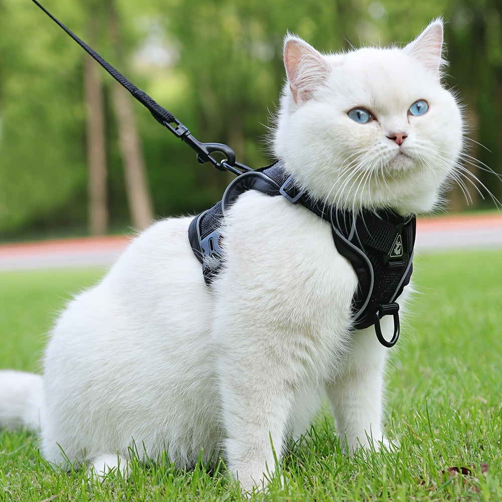 Reflective Cat Harness and Leash Set – Ideal for Walking and Training