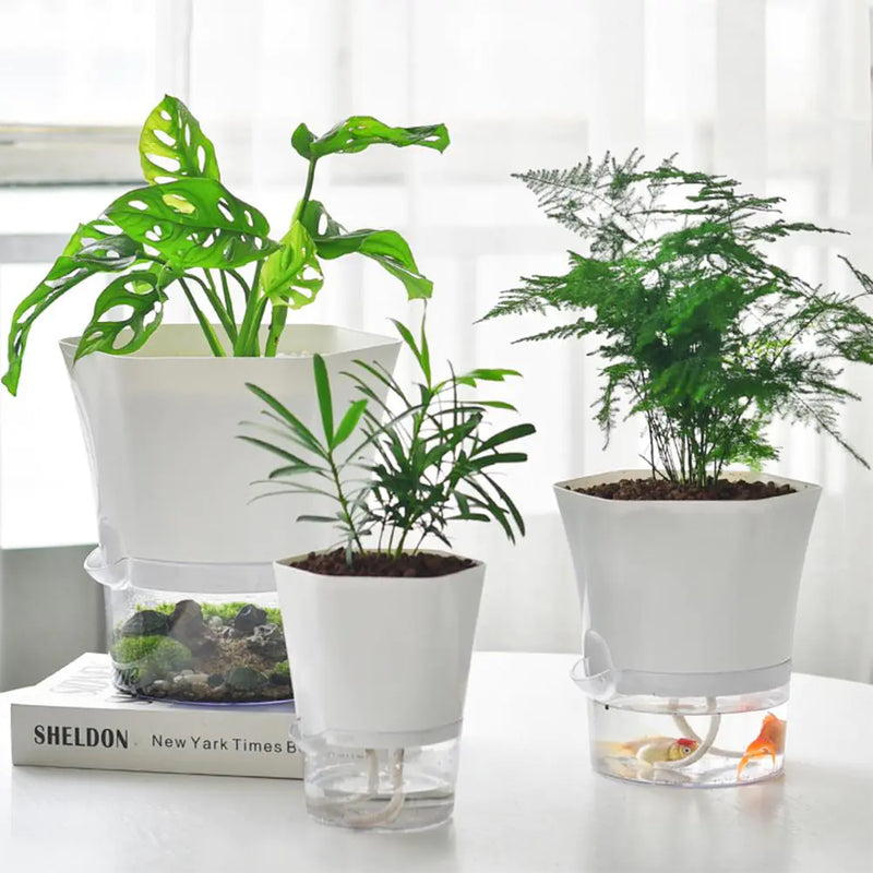AquaPlanter - Smart Flower Pot and Mini Aquarium in One