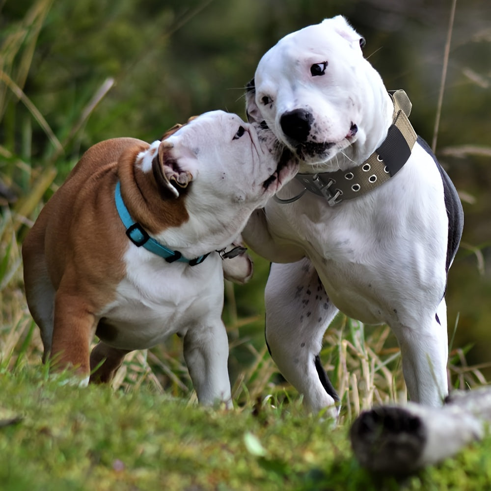 Adjustable Nylon Dog Collar – Comfort and Control for Large Dogs