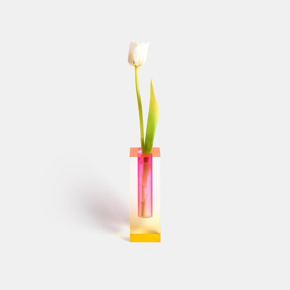 Kaleidoscope Vases - Colorful Flower Vases for a Fresh Look