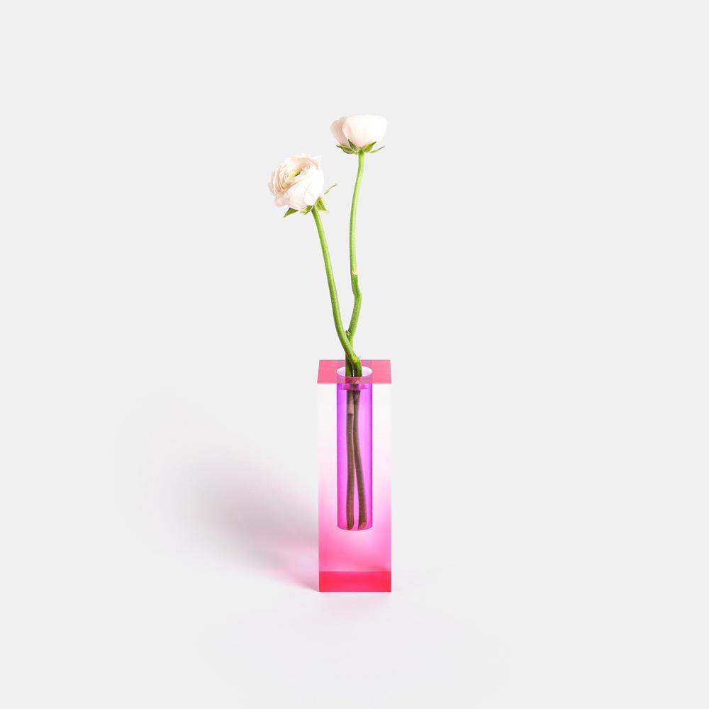 Kaleidoscope Vases - Colorful Flower Vases for a Fresh Look
