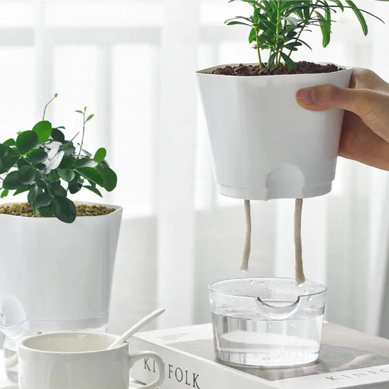 AquaPlanter - Smart Flower Pot and Mini Aquarium in One