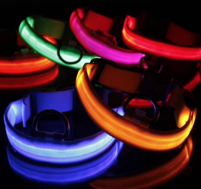 DogSafe Pro - LED Collar for Dogs - Feel Safe and Stylish While Walking