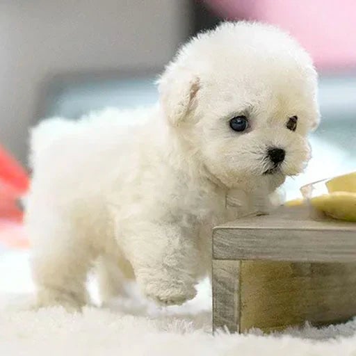 Ultrarealistic Robot Puppy – Interactive Cuddly Companion for Young and Old
