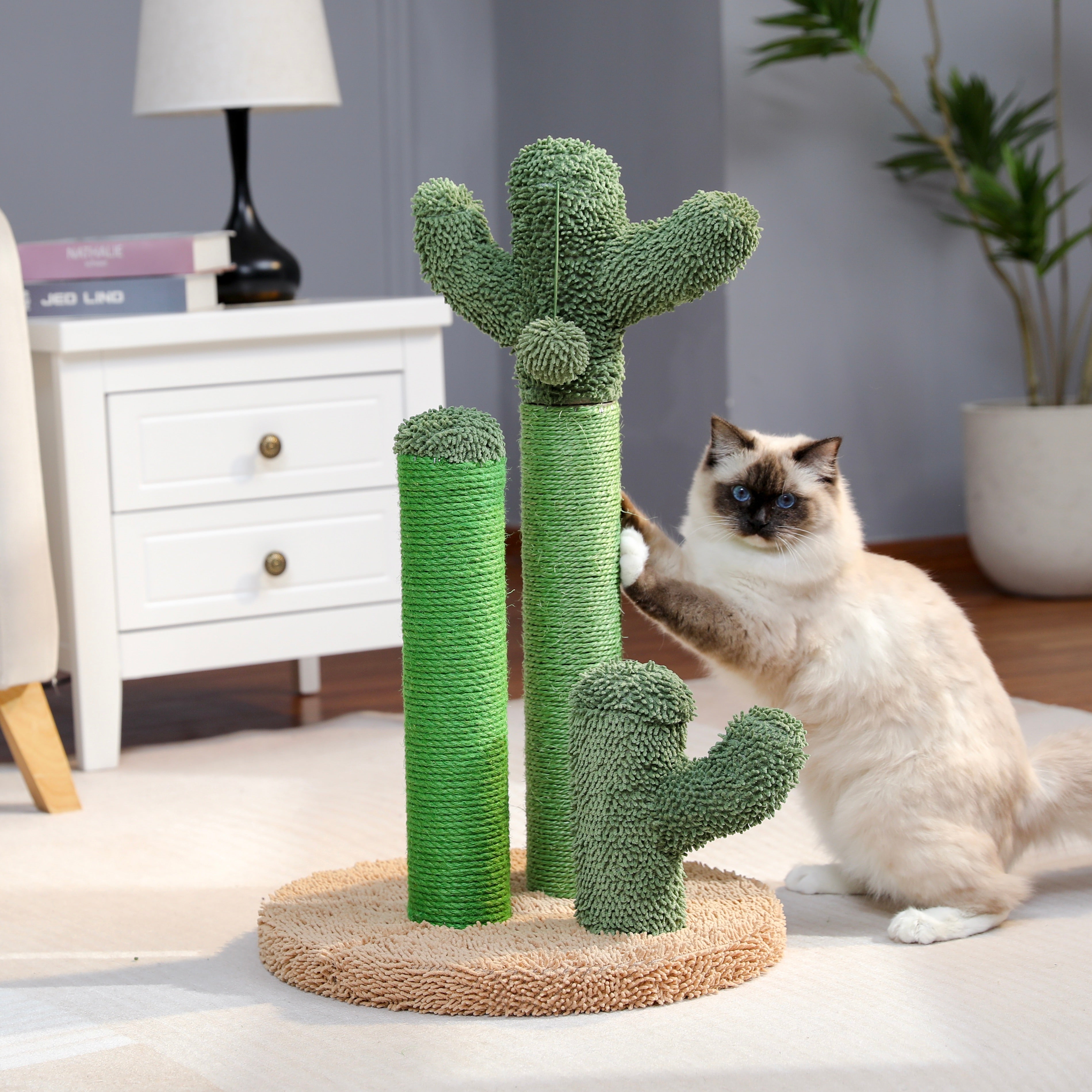 Cat Scratching Cactus – Playful and Functional for Your Cat
