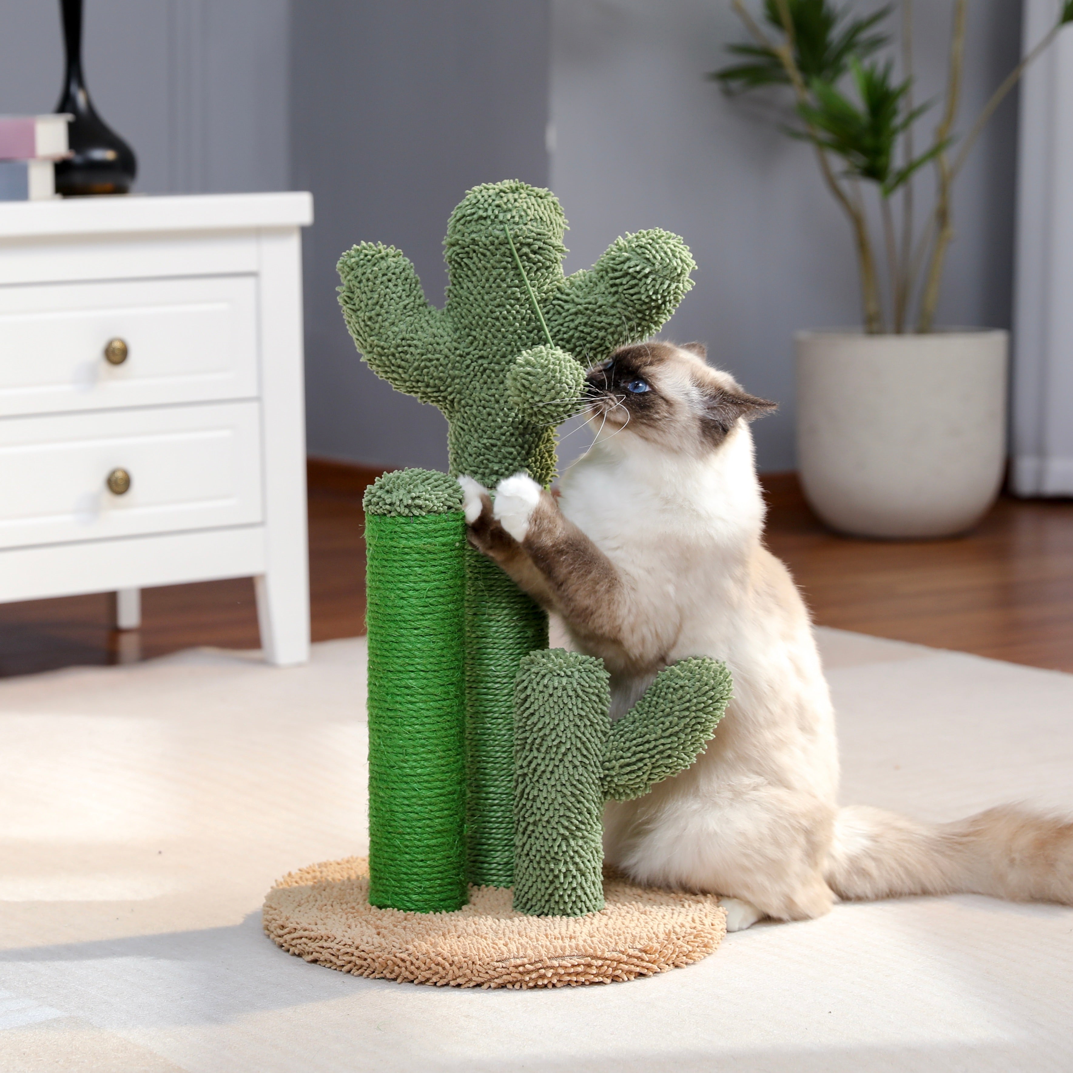 Cat Scratching Cactus – Playful and Functional for Your Cat