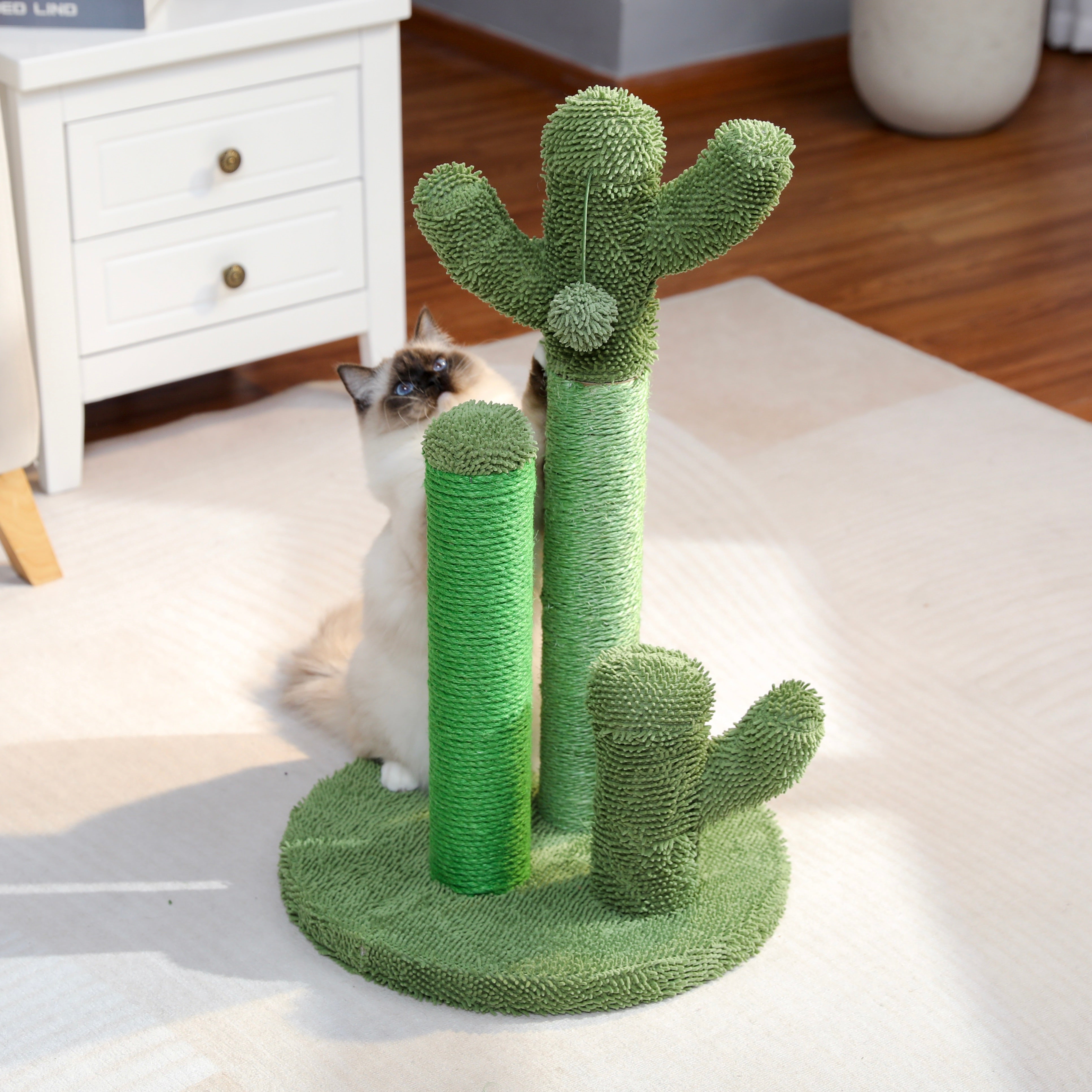 Cat Scratching Cactus – Playful and Functional for Your Cat