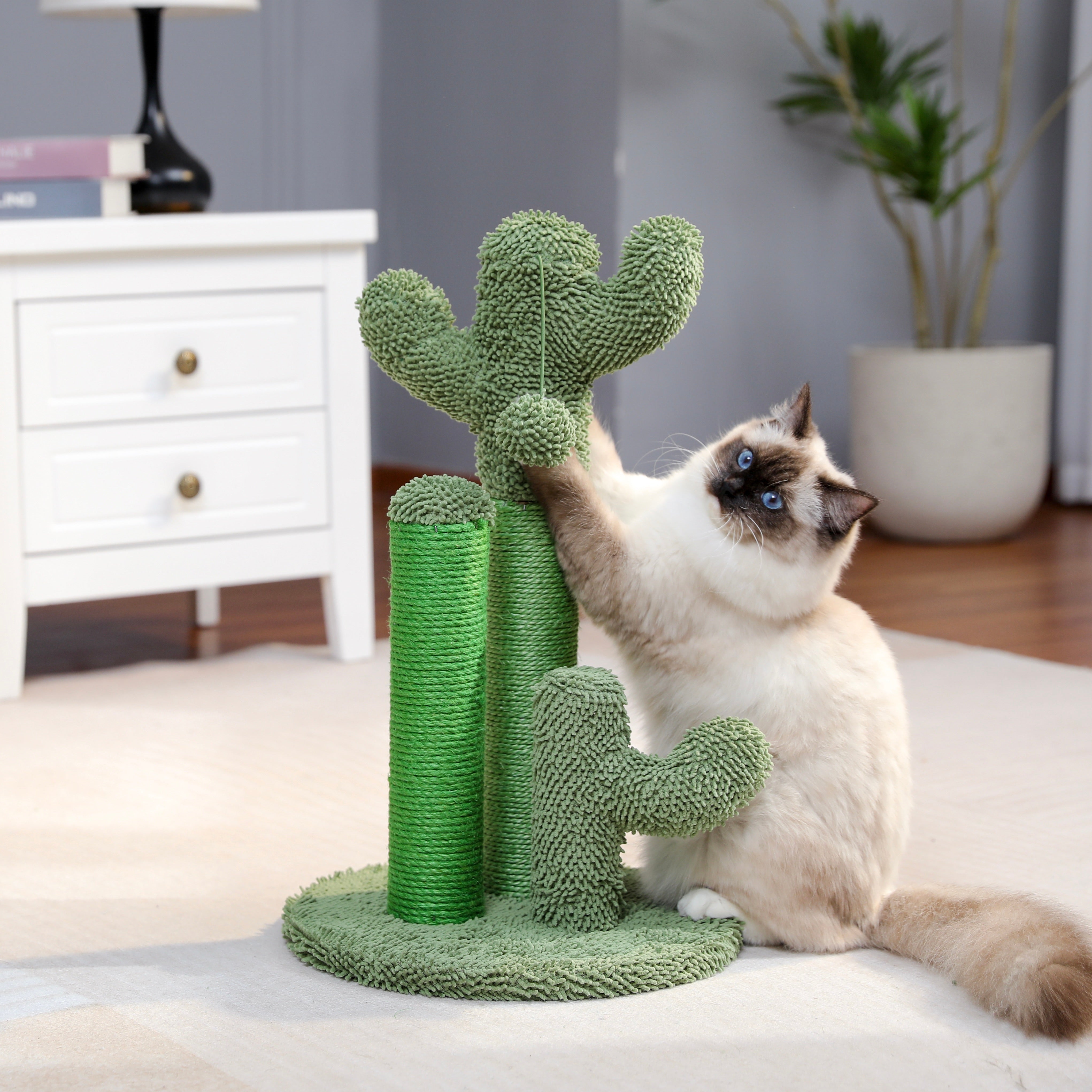 Cat Scratching Cactus – Playful and Functional for Your Cat