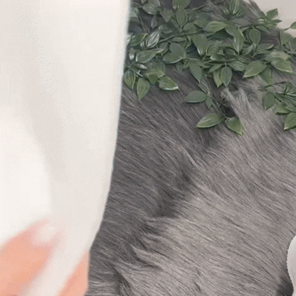 Potty Training Little Kids Underwear - Ideal for Potty Training