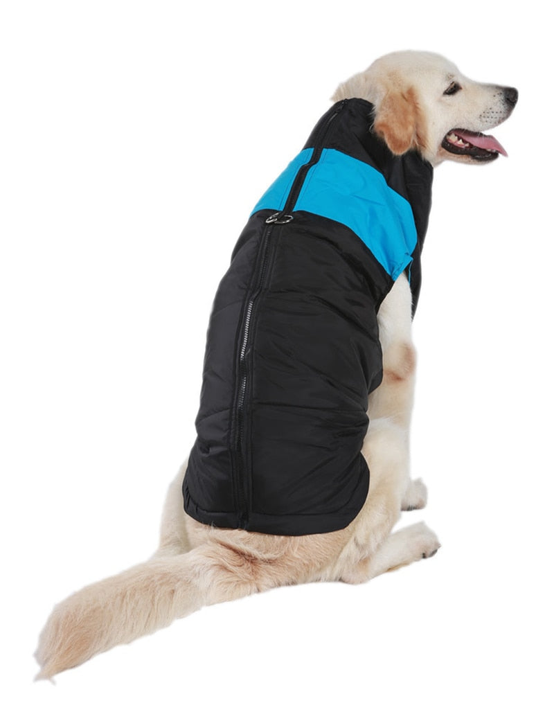 CozyPaws Dog Jacket - Warm & Waterproof