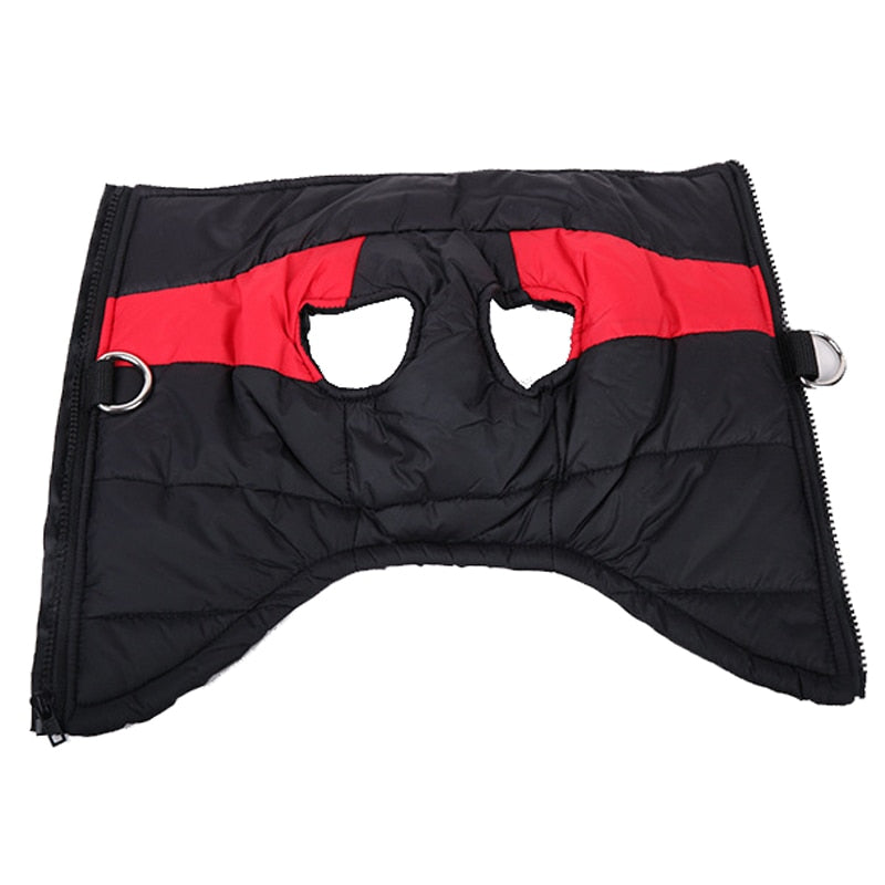CozyPaws Dog Jacket - Warm & Waterproof