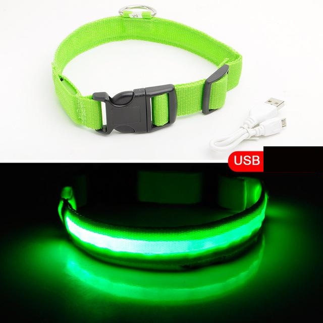 DogSafe Pro - LED Collar for Dogs - Feel Safe and Stylish While Walking