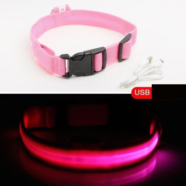 DogSafe Pro - LED Collar for Dogs - Feel Safe and Stylish While Walking