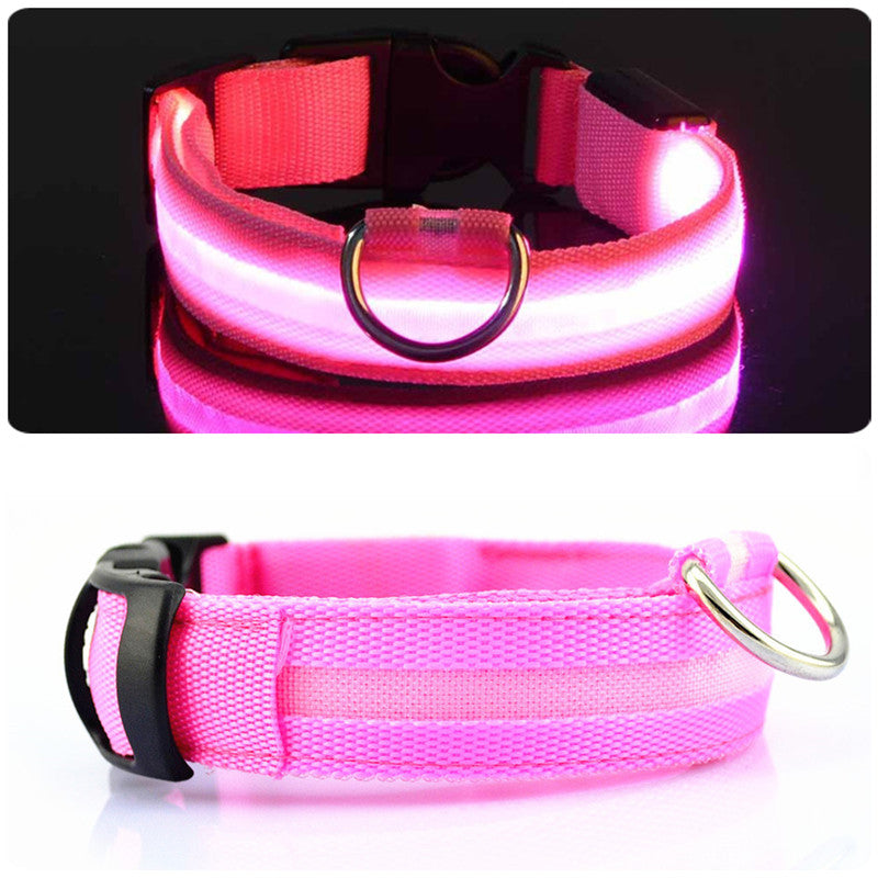 DogSafe Pro - LED Collar for Dogs - Feel Safe and Stylish While Walking