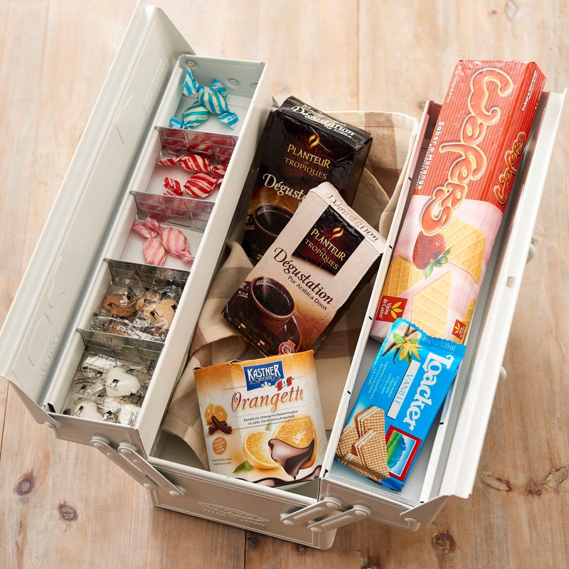 Steel Toolbox ST-350 – Compact Multi-Compartment Case