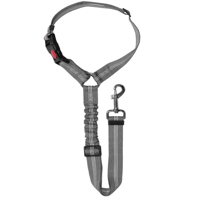 PetSafe - Adjustable Dog Seat Belt