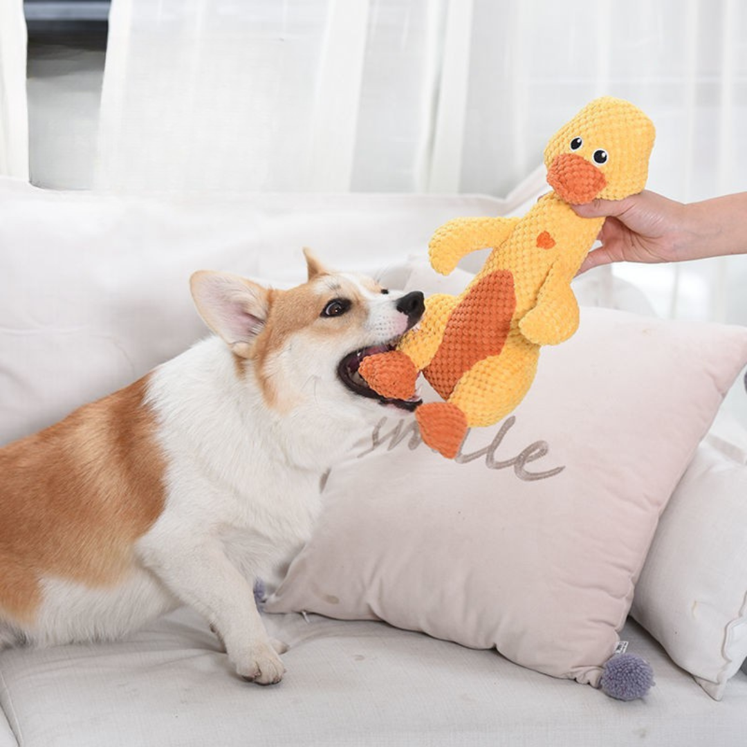 Chewy Friends – Plush Animal Toys for Dogs